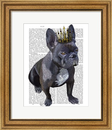 Framed French Bulldog King Print