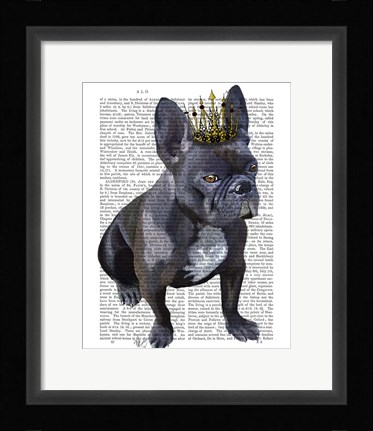 Framed French Bulldog King Print