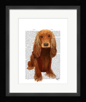 Framed Cocker Spaniel Plain Print