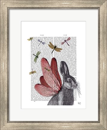 Framed Dragonfly Hare Print