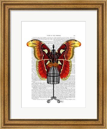 Framed Mannequin Red And Yellow Butterfly Print
