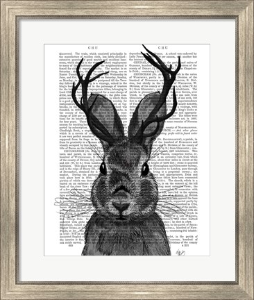 Framed Jackalope with Grey Antlers Print