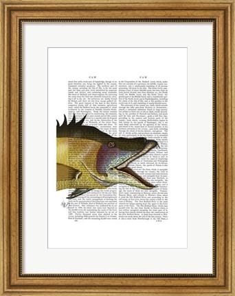 Framed Great Hog Fish Print