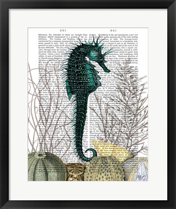 Framed SeaHorse and Sea Urchins Print