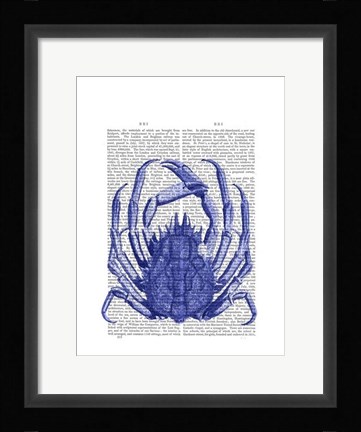 Framed Blue Crab Print