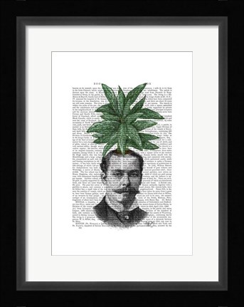 Framed Chinese Evergreen Head Plant Head Print