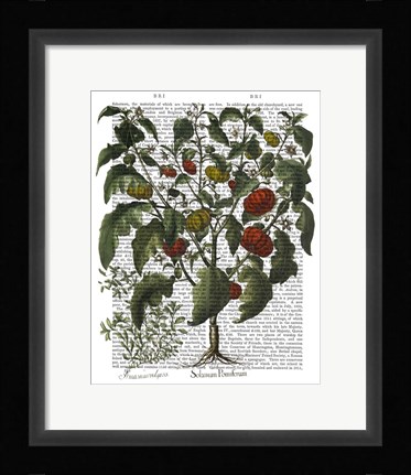 Framed Peppers 2 Print