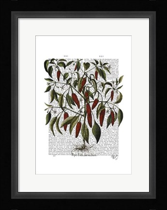 Framed Peppers 3 Print