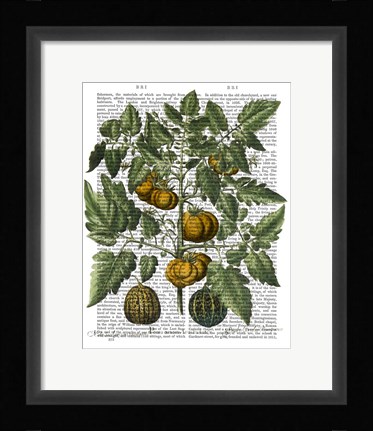 Framed Peppers 5 Print