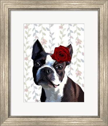 Framed Boston Terrier with Rose on Head Print