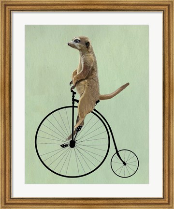Framed Meerkat on Black Penny Farthing Print