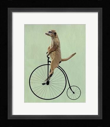 Framed Meerkat on Black Penny Farthing Print