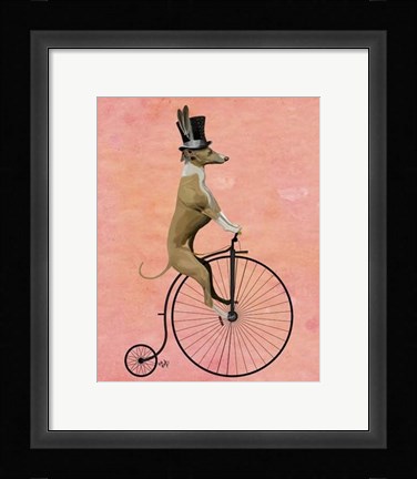 Framed Greyhound on Black Penny Farthing Print