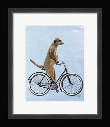 Framed Meerkat on Bicycle Print