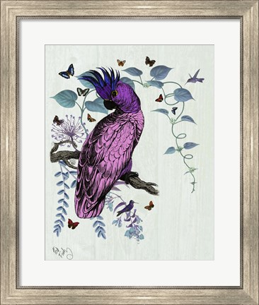 Framed Pink Parrot Print