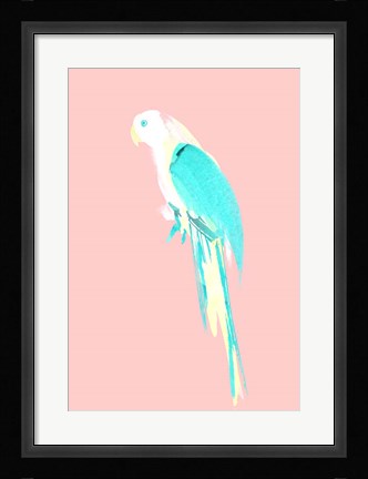 Framed Summer Parrot Print