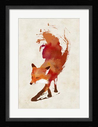 Framed Vulpes Vulpes Print