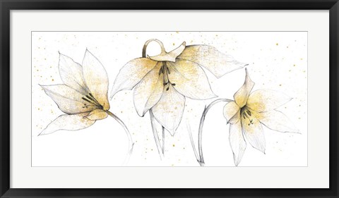 Framed Gilded Graphite Floral Trio Print