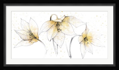 Framed Gilded Graphite Floral Trio Print
