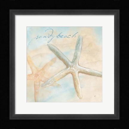 Framed Watercolor Shell Sentiments II Print