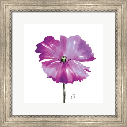 Framed Poppies Tempo III Print