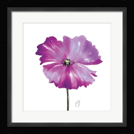 Framed Poppies Tempo III Print