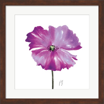 Framed Poppies Tempo III Print