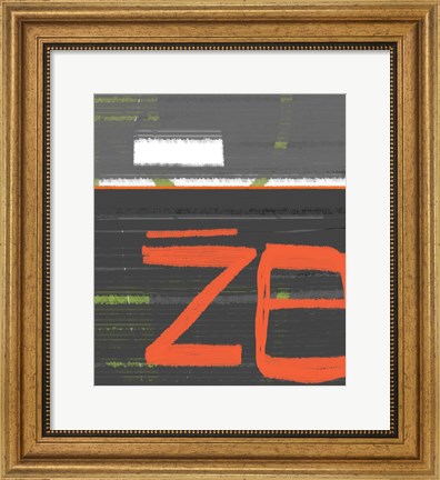 Framed Z8 Print