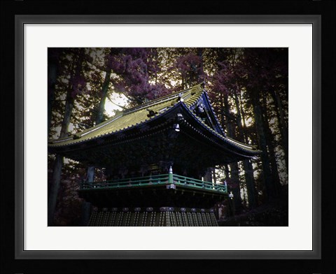 Framed Nikko Architectural Detail Print