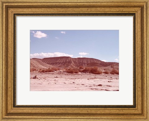 Framed Anza Borrego Desert Print