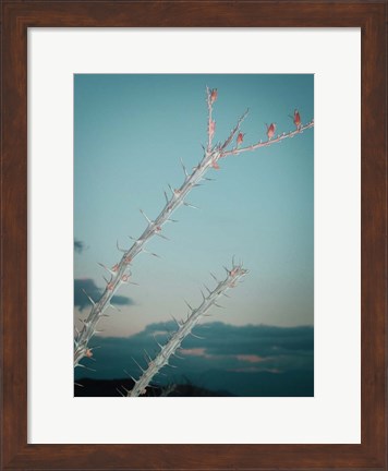 Framed Plant Print