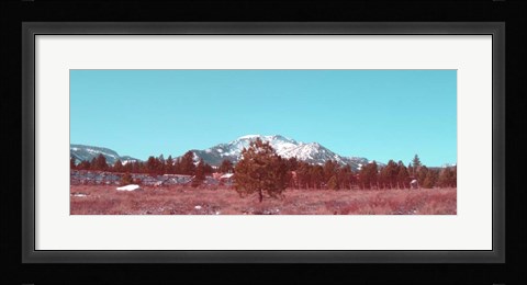 Framed Mammoth Mountain Print