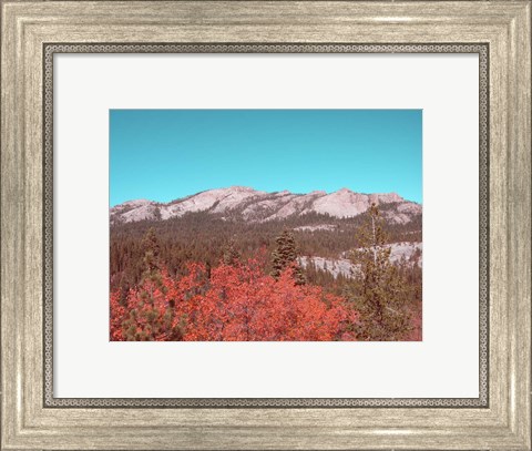 Framed Sierra Nevada Mountains Print