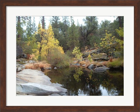 Framed Lake In The Forest Print