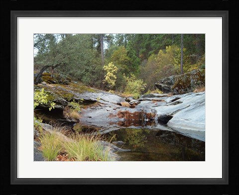 Framed Lake In The Forest 1 Print