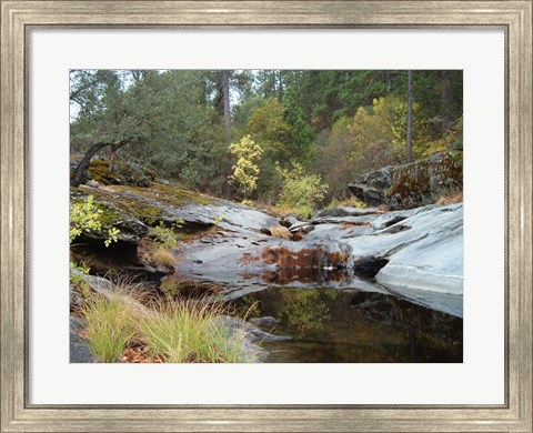Framed Lake In The Forest 1 Print