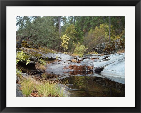Framed Lake In The Forest 1 Print