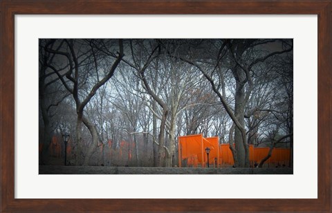 Framed Central Park Print