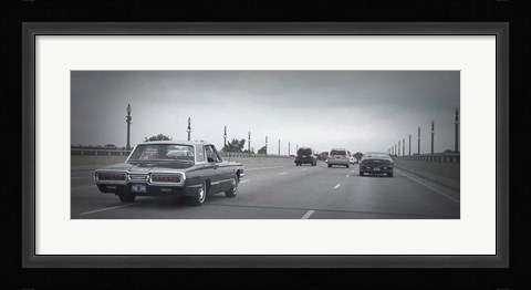 Framed T Bird Print