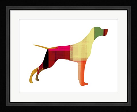 Framed Setter Pointer 1 Print