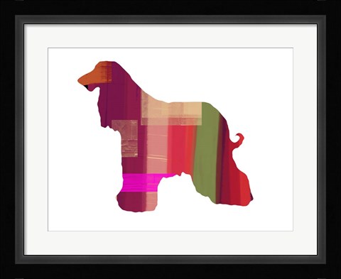 Framed Afghan Hound 2 Print