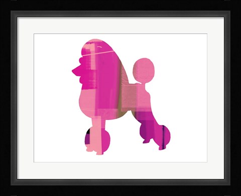 Framed French Poodle Print