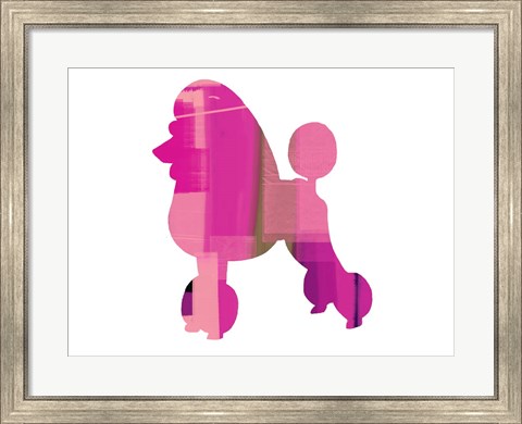 Framed French Poodle Print