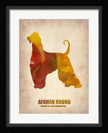 Framed Afghan Hound Print