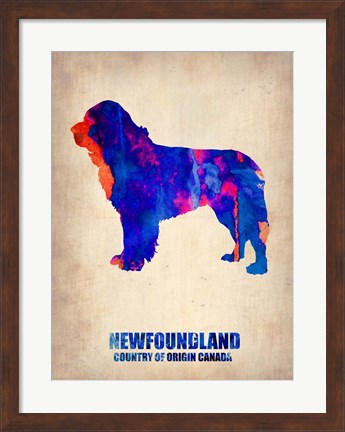 Framed Newfoundland 2 Print