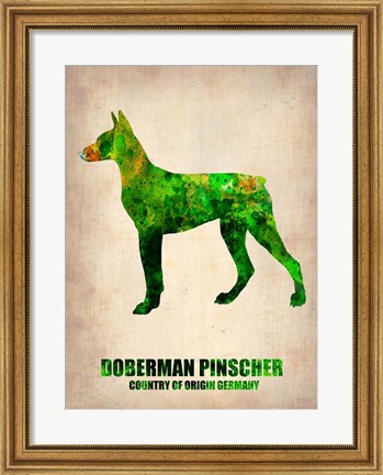 Framed Doberman Pinscher 2 Print