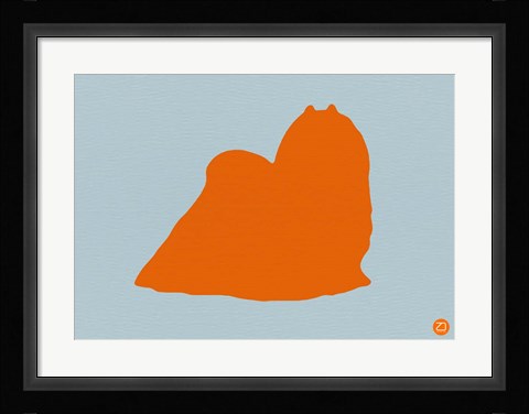 Framed Maltese Orange Print