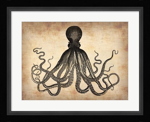 Framed Vintage Octopus Print