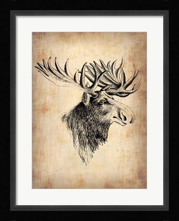 Framed Vintage Moose Print