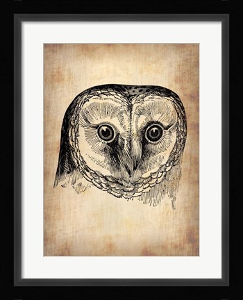 Framed Vintage Owl Print